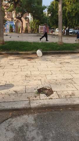 Φωτογραφία 3